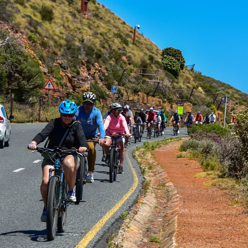 Group of cyclists biking along a road in Hout Bay