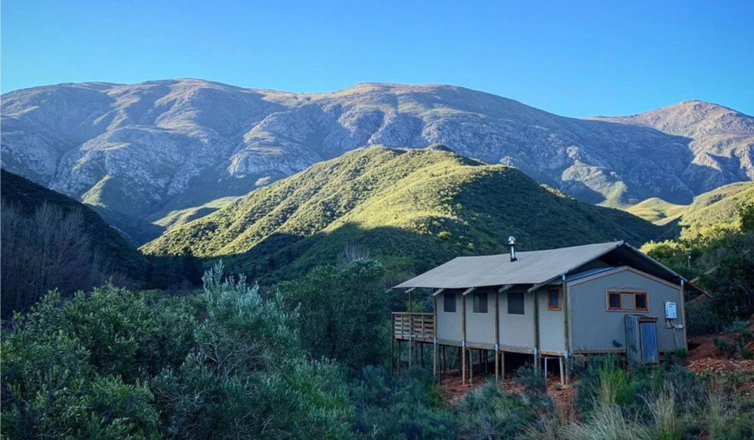 AfriCamps Boutique Glamping South Africa cover image