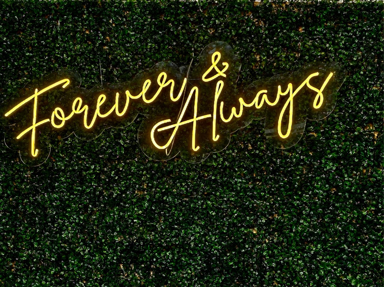Neon sign reading 'Forever & Always' against a green backdrop
