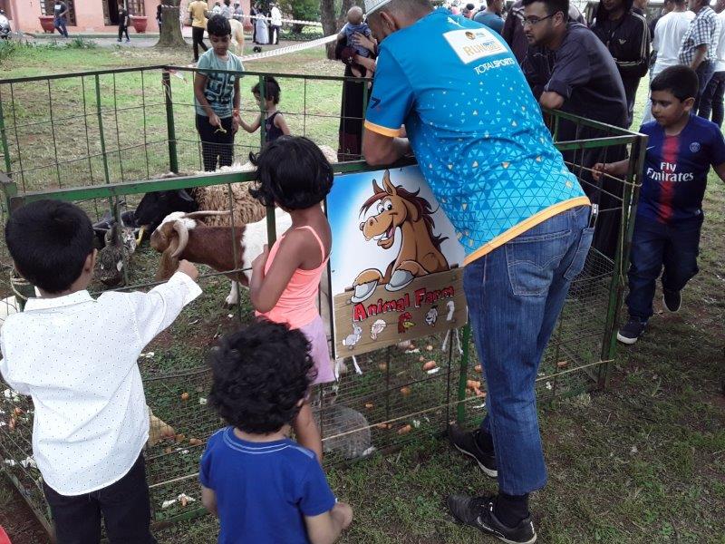 Children at an animal farm interacting with animals.