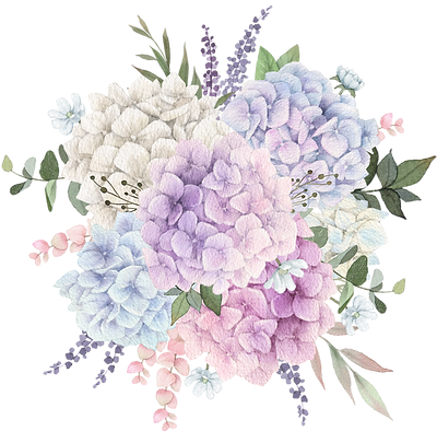 Belle Doux Decor cover image