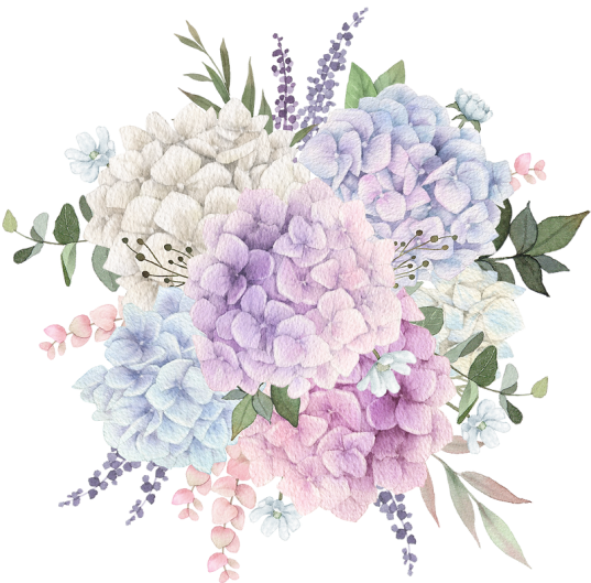 Illustration of pastel hydrangeas and leaves