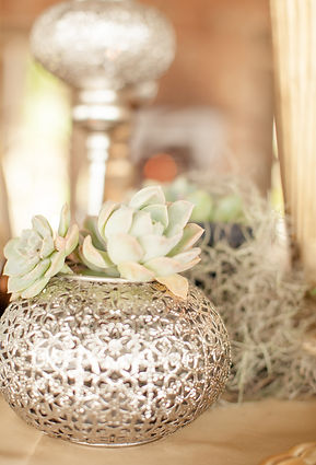 Silver vase with succulents for table decor