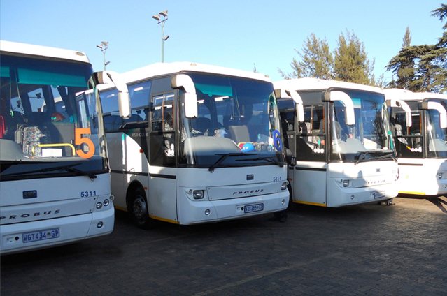 A lineup of buses parked and ready in Bloemfontein