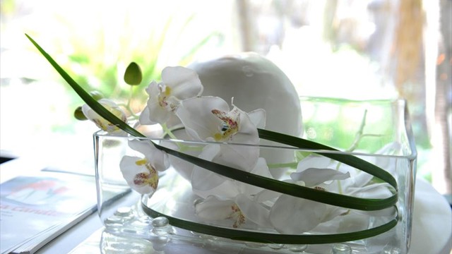 Glass vase with white orchids and green leaves