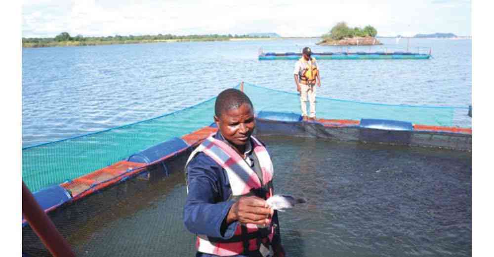 Man demonstrating sustainable fishing techniques in aquaculture setup.