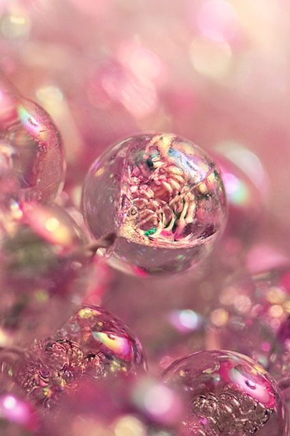 Close-up of translucent pink bubbles