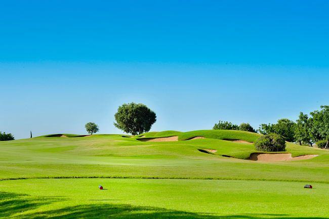 Lush green golf course with sand traps and blue sky