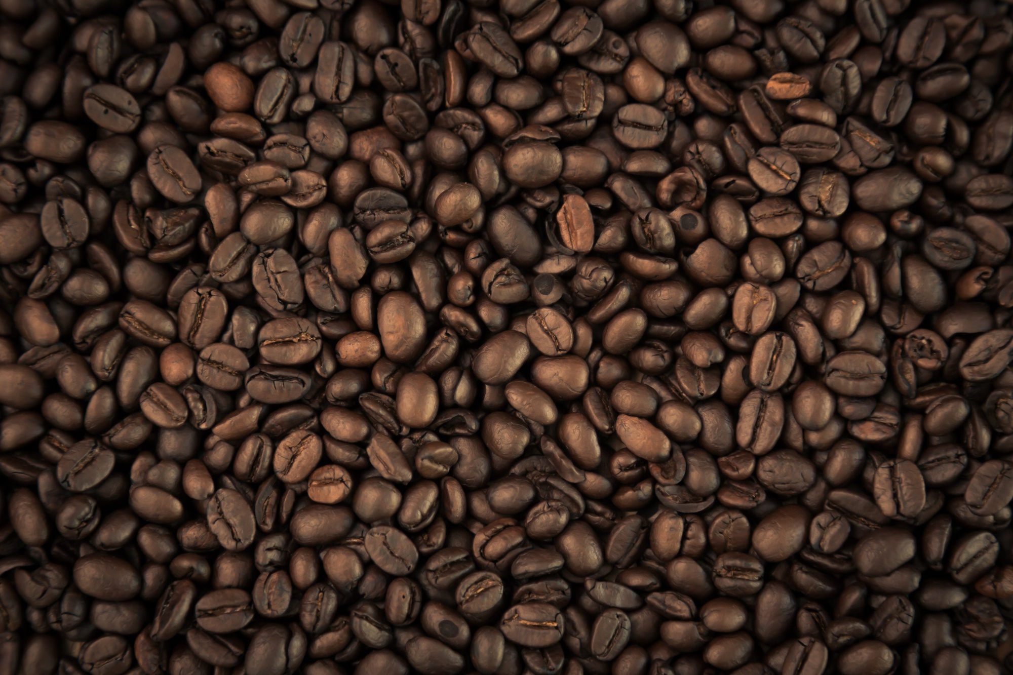 Close-up of dark roasted coffee beans