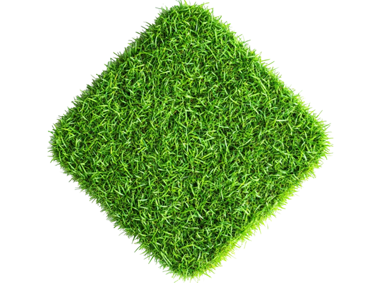 Square piece of synthetic grass flooring.