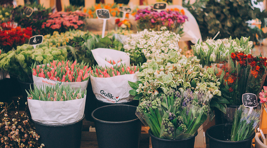 Variety of fresh flowers in pots and wraps