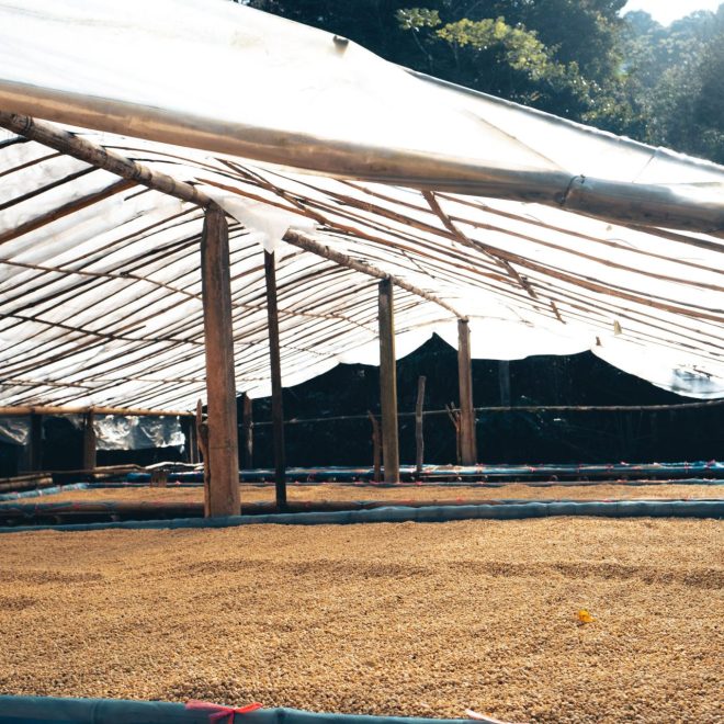 Interior view of a stretch tent with a sandy floor