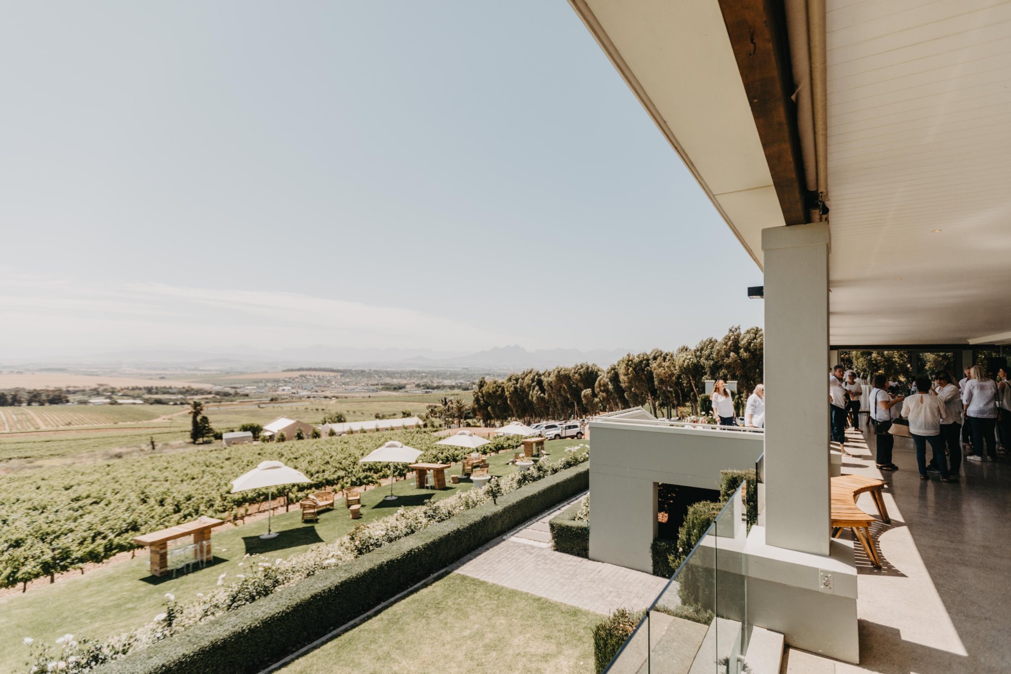 Panoramic view of Eureka estate with outdoor setup and vineyard