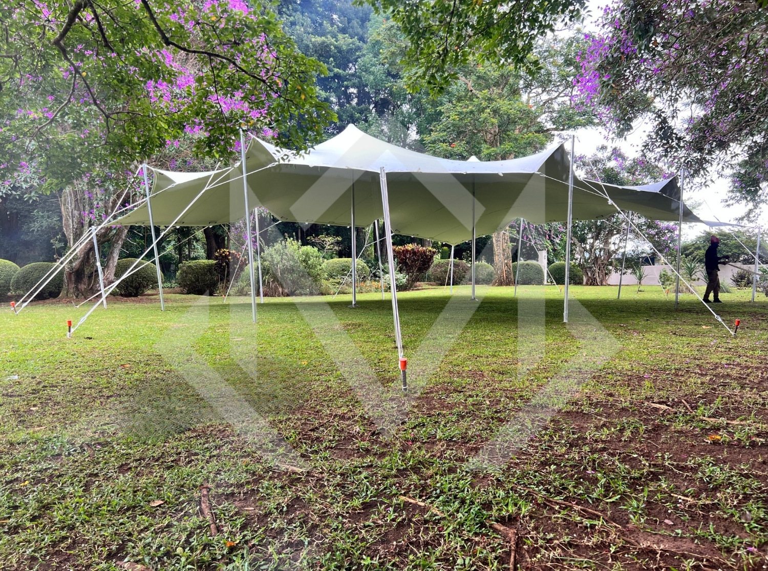 Setup of a stretch tent in a garden area in Durban
