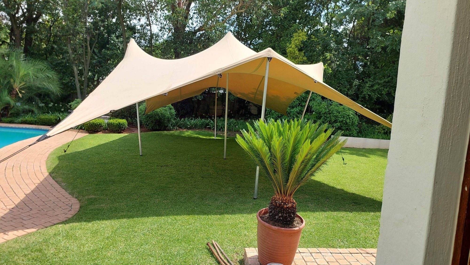 Large beige stretch tent on a green lawn with a palm plant