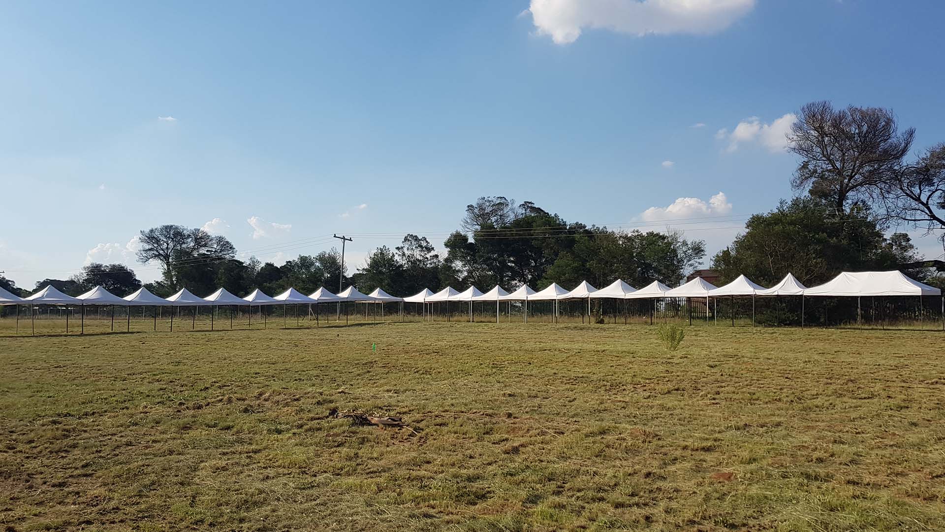 Row of white pop-up gazebos set up in a grassy area