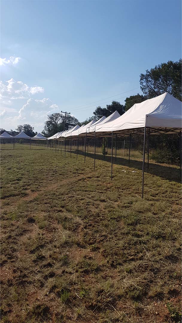 Row of assembled white pop-up gazebos on grass