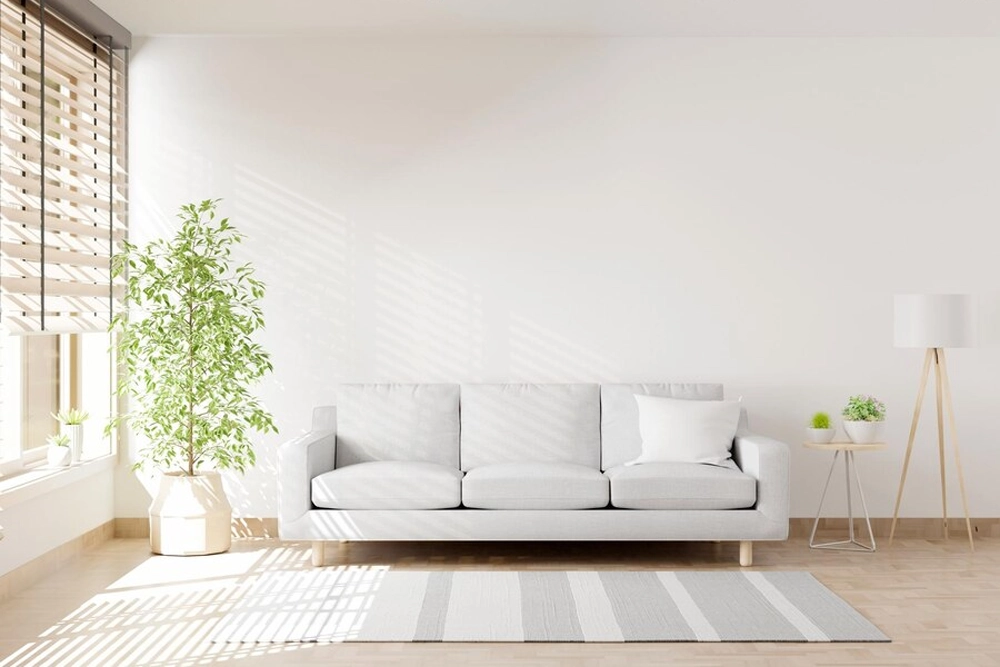 Minimalist living room with a white sofa and potted plant