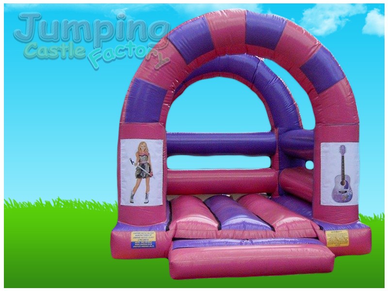 Colorful themed jumping castle with pink and purple design.