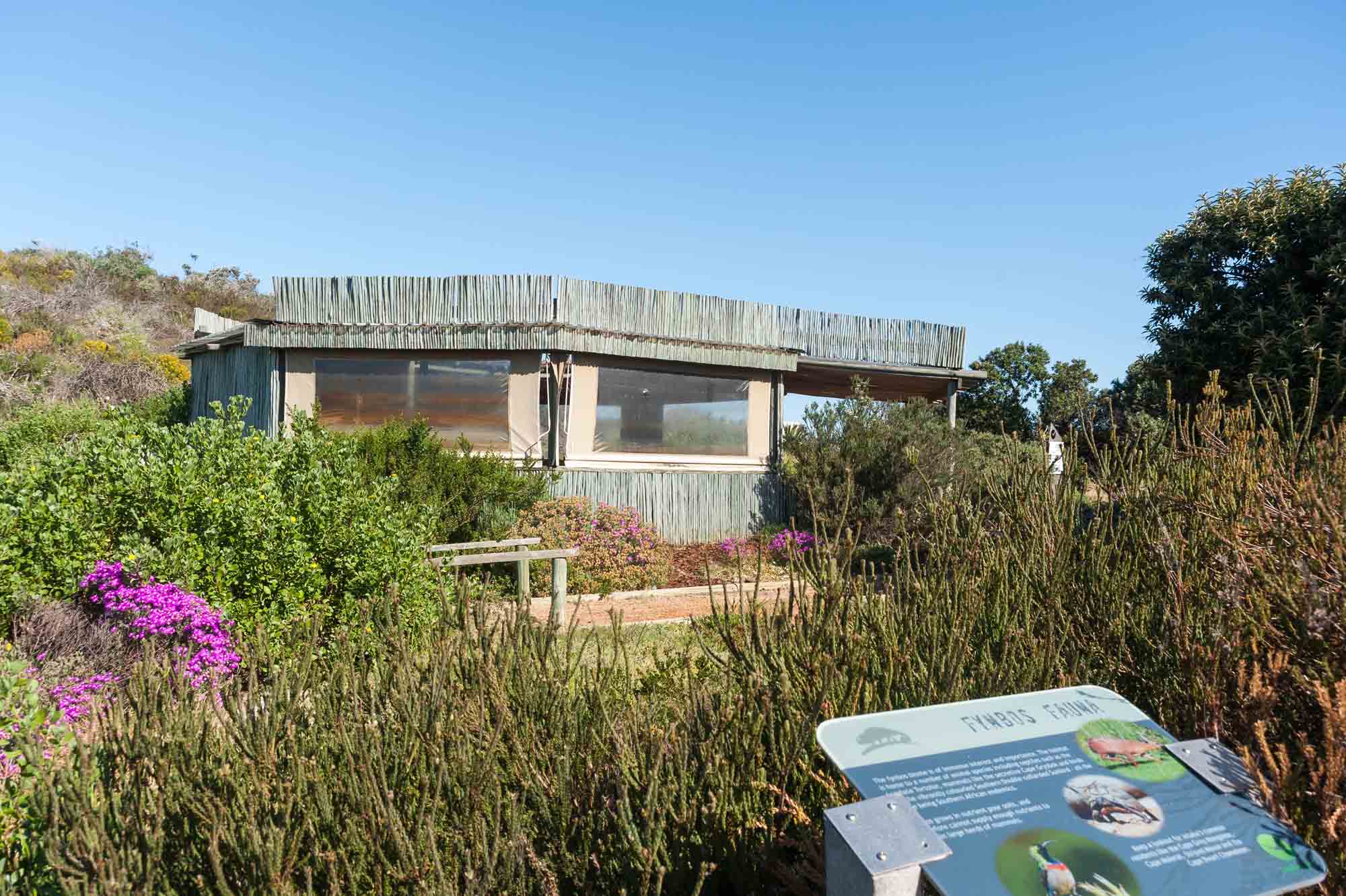 Image of the Eco Centre at Intaka Island surrounded by plants.