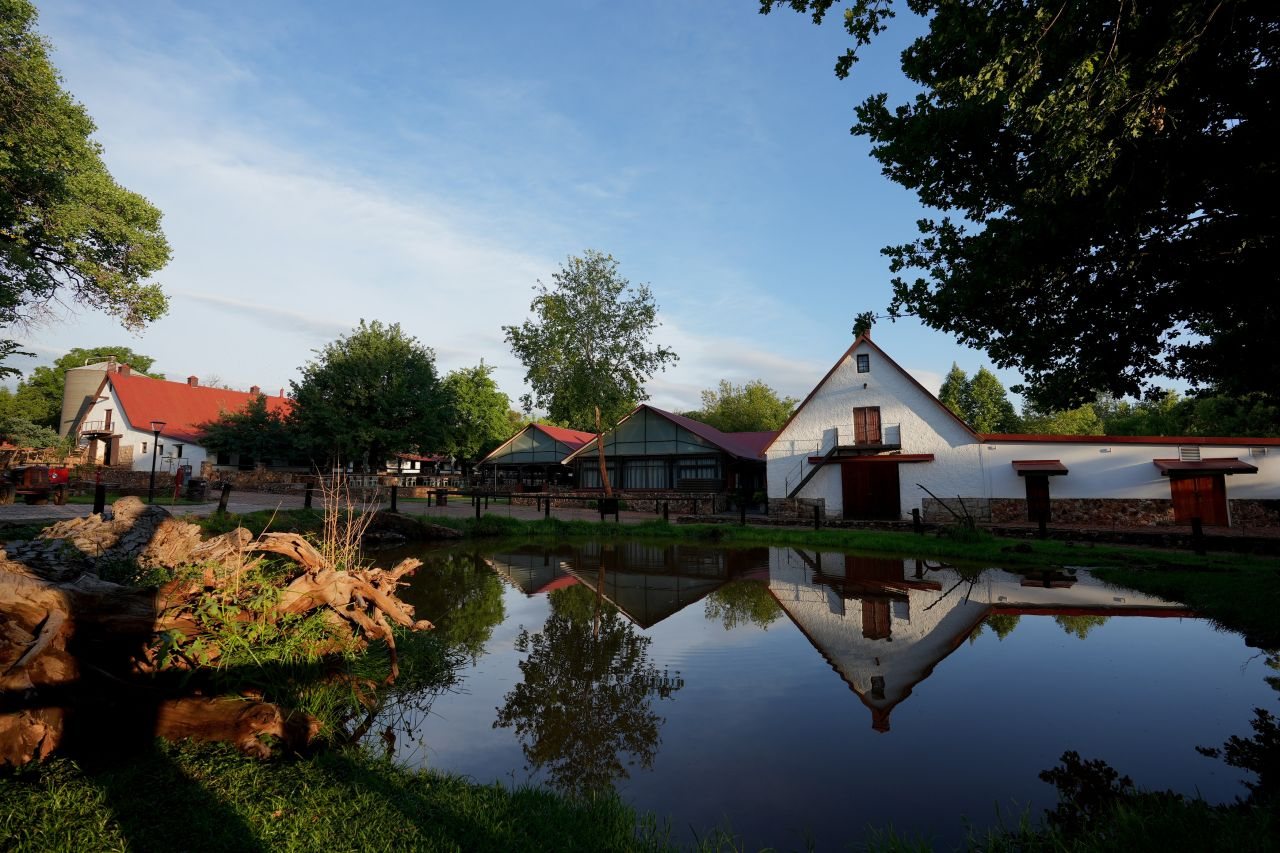 Scenic view of Irenefarm with buildings reflected in a pond.