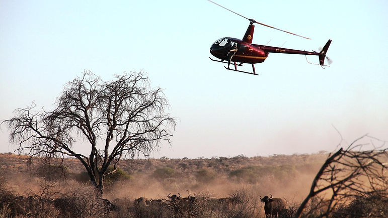 Helicopter flying over a dry landscape with trees and animals
