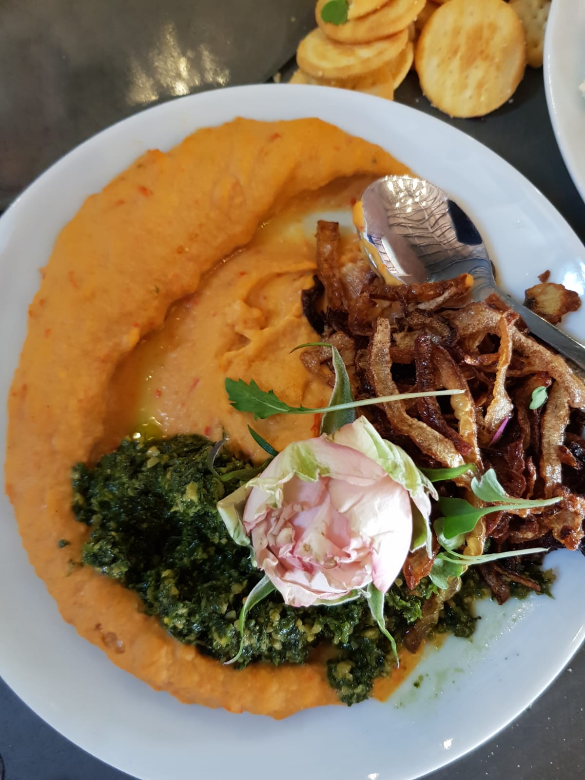 Plate featuring harvest dish with garnishes