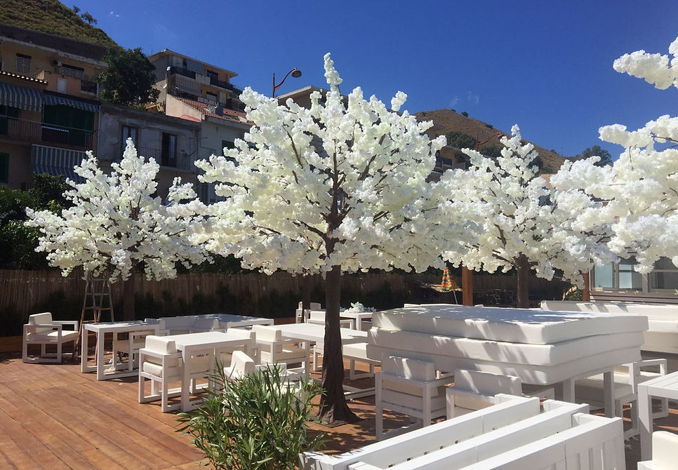 Cherry blossom trees and white furniture in an outdoor setting