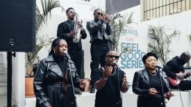 Live Bands for Hire in South Africa cover image