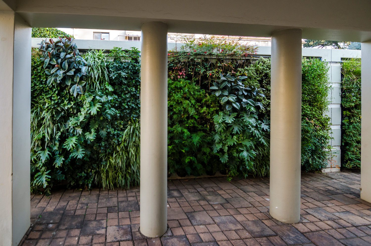 Lush vertical garden with diverse plant life