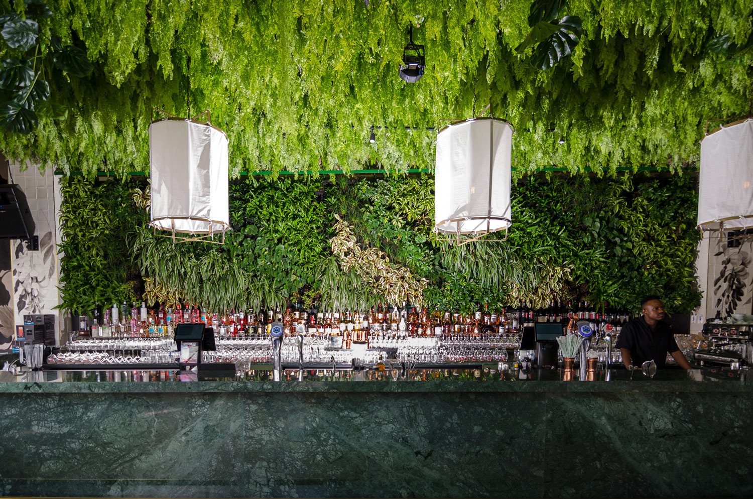 Living green wall above a bar with bottles in the background