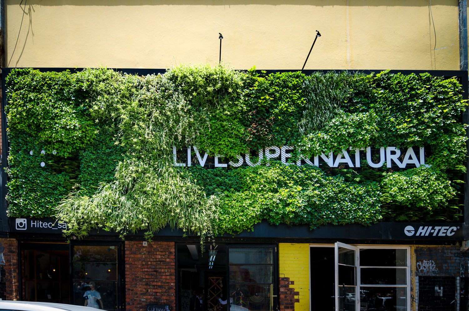 Vertical garden covering a building facade