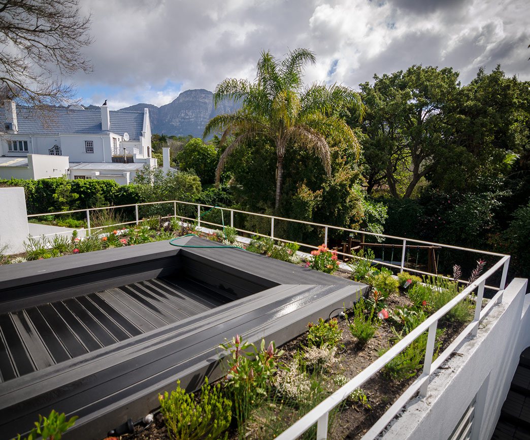 Rooftop garden with plants and greenery in Cape Town.