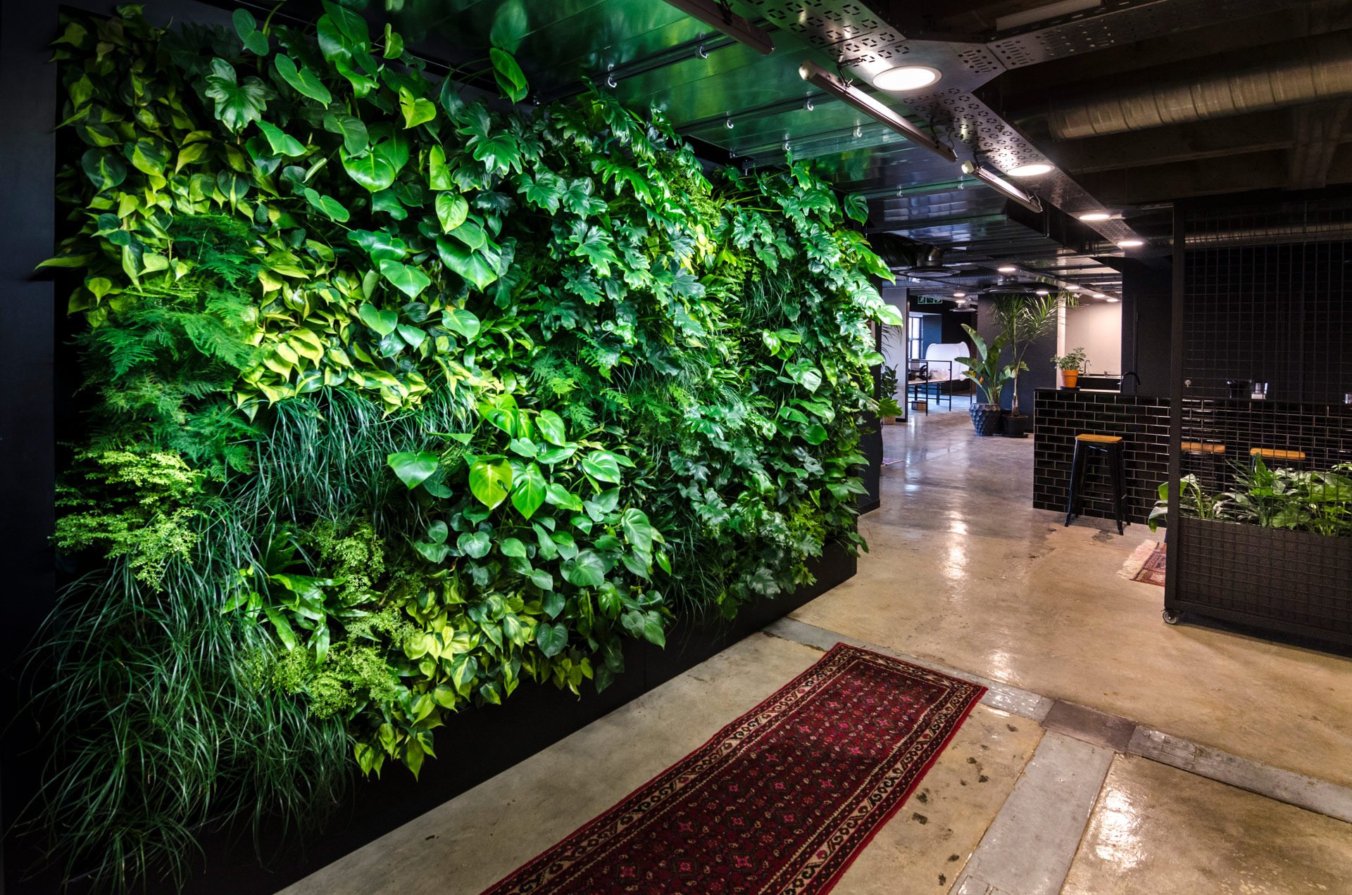 Living Green Walls cover image