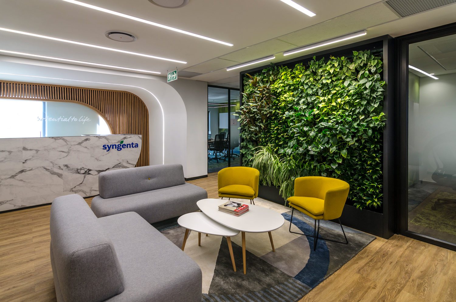 Living green wall in a modern office reception area