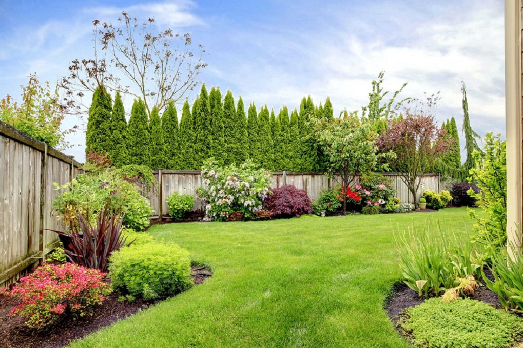 Colorful flowers and greenery in a well-kept garden