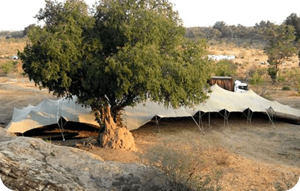 Large marquee stretched out under a tree in an outdoor setting