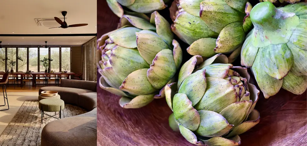 Close-up of fresh artichokes in a wooden bowl