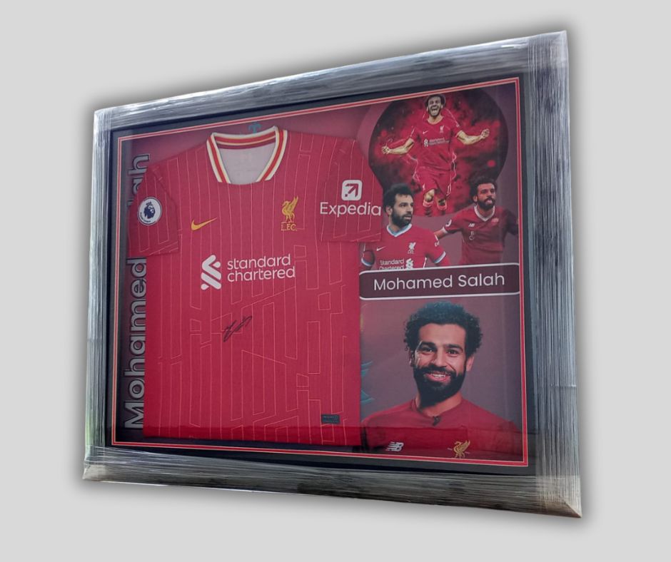 Pro Fans cover image