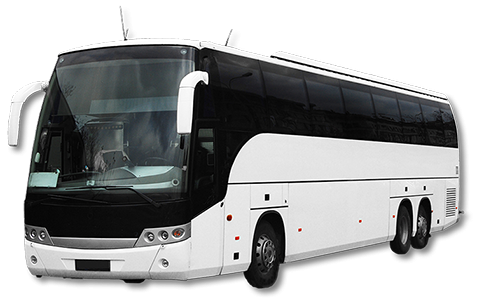 Large white 60-seater coach with a black front