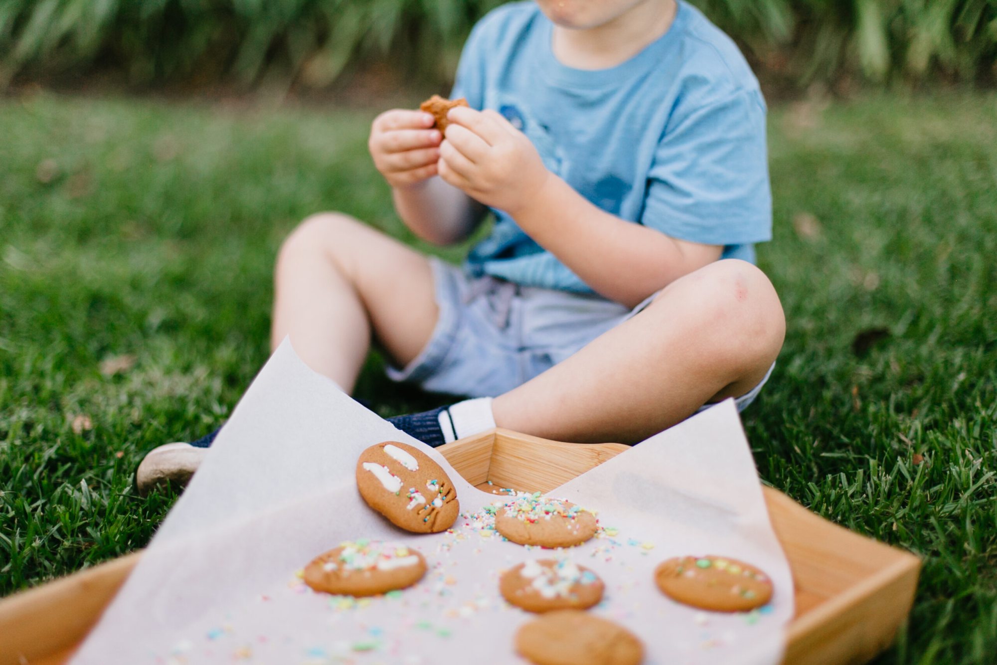 Child sitting on grass holding decorated cookies