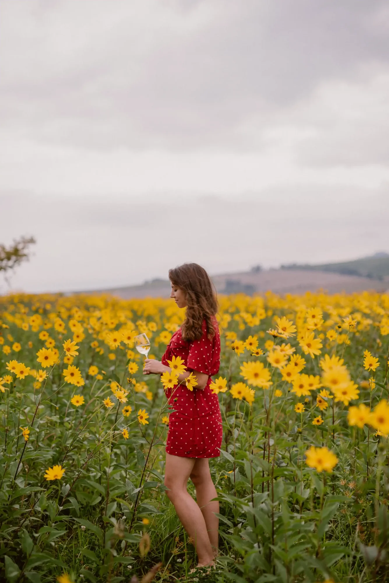 Woman in red dress holding wine glass in sunflower field