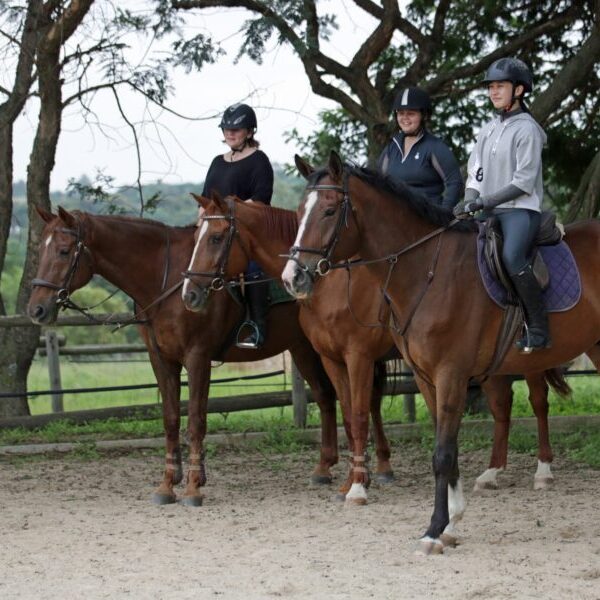 Three riders on horses in an outdoor riding arena