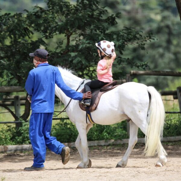 Sun Valley Stables cover image
