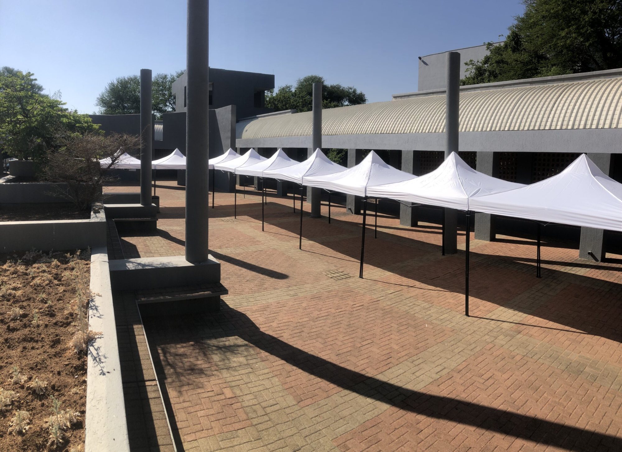 Multiple white gazebos set up in a paved area