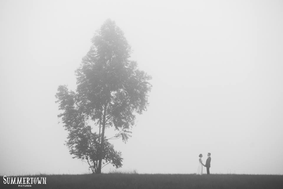Couple embracing in foggy landscape with tree