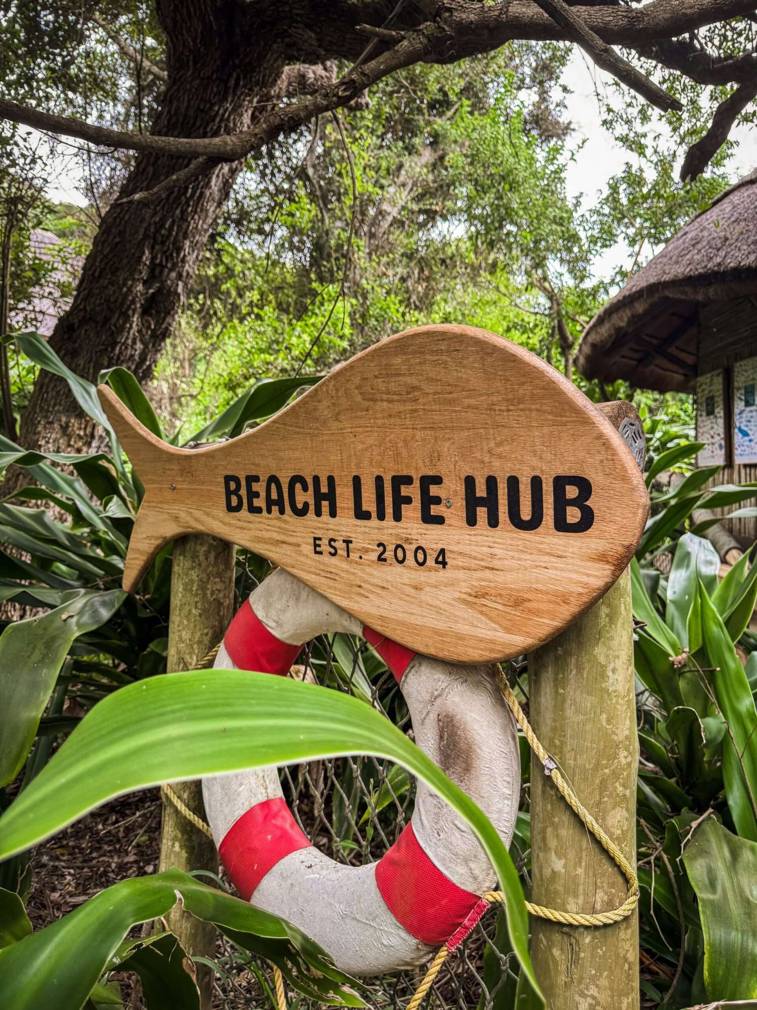 Wooden sign reading 'Beach Life Hub' next to a life buoy