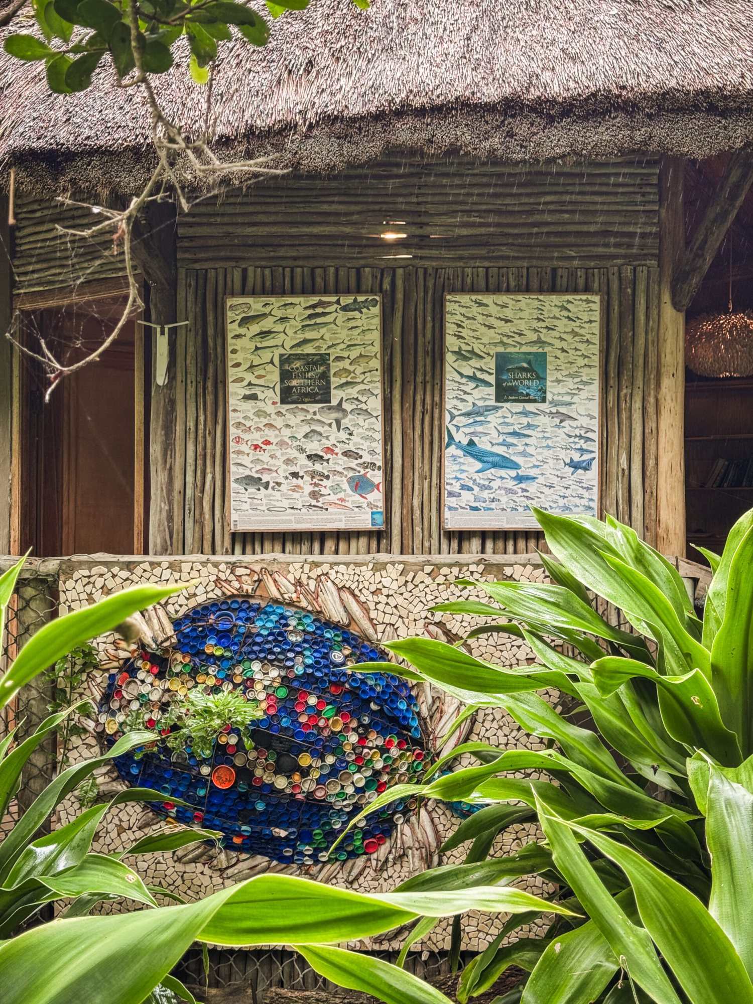 Decorative display at Thonga Beach Lodge showcasing local art and plants.
