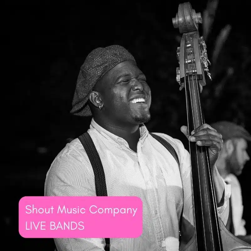Musician playing double bass for a live music performance