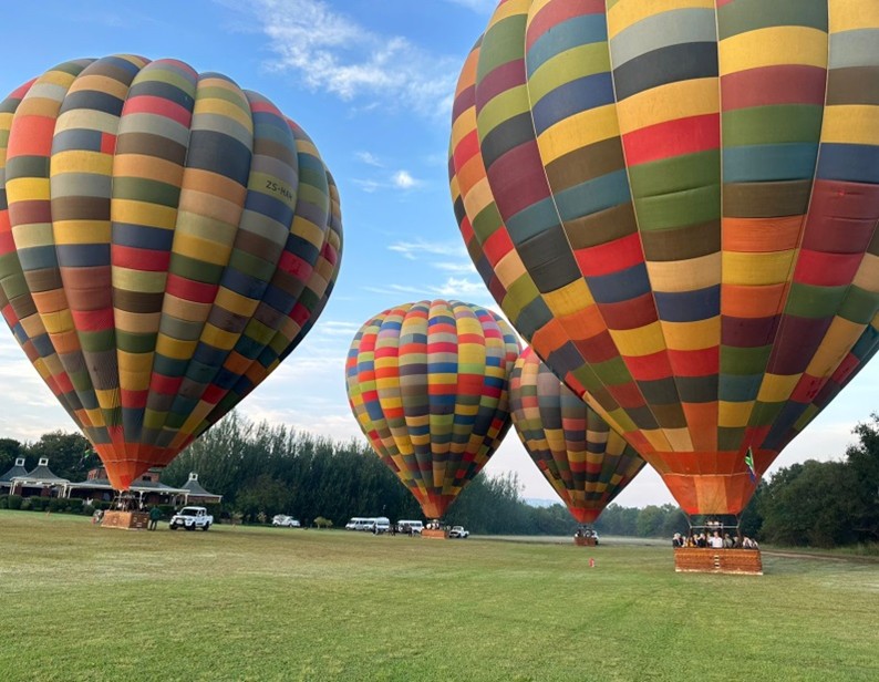 Colorful hot air balloons in a grassy field